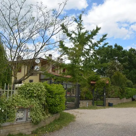 Gli Eucalipti_la Genziana E Il Sambuco
